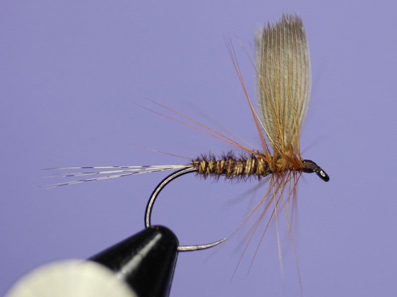 Brown mayfly - dry fly - How to tie fly, Fly tying Step by Step ...